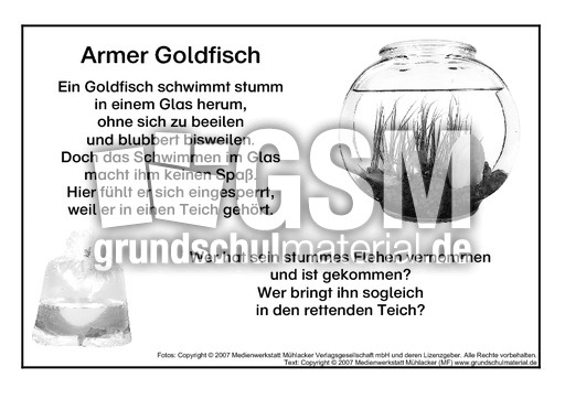 Goldfisch-Sw.pdf